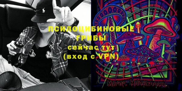 сатива Нея
