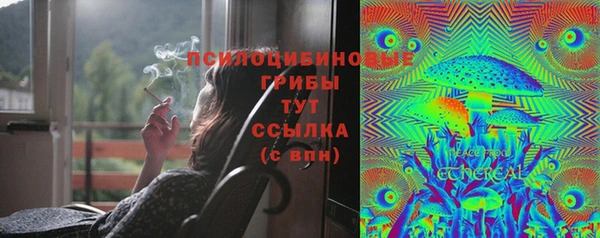 сатива Нея