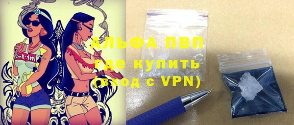 стаф Нефтегорск