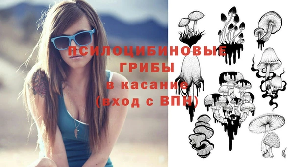стаф Нефтегорск