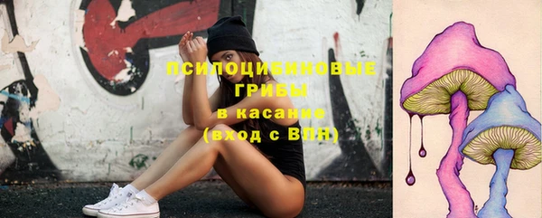 сатива Нея