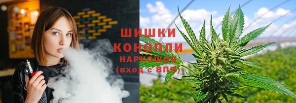 сатива Нея