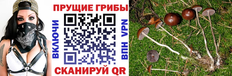 Галлюциногенные грибы прущие грибы  где продают наркотики  Юрюзань 